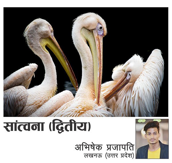 विजेता 4
