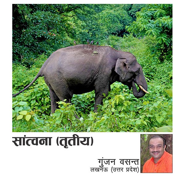 विजेता 5