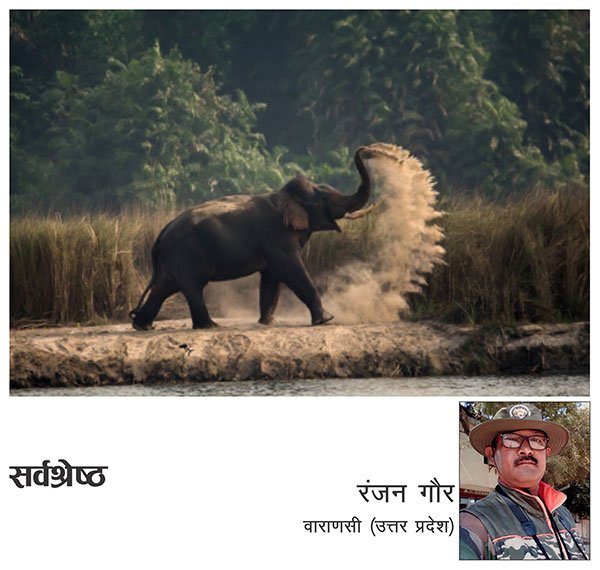 विजेता 1